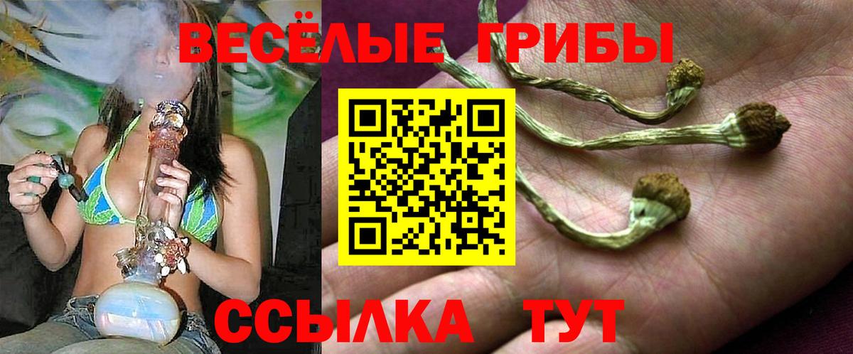 Губаха  Галлюциногенные грибы Psilocybine cubensis  Вход с VPN  Псилоцибиновые грибы мицелий 