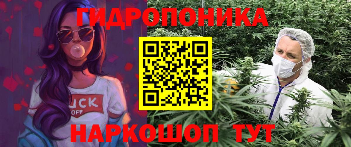 Губаха  Канабис план  Бошки Шишки тримм  Конопля Ganja  Вход с VPN 