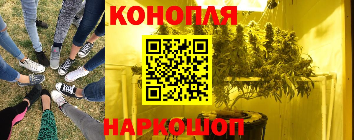 Каннабис VHQ Губаха
